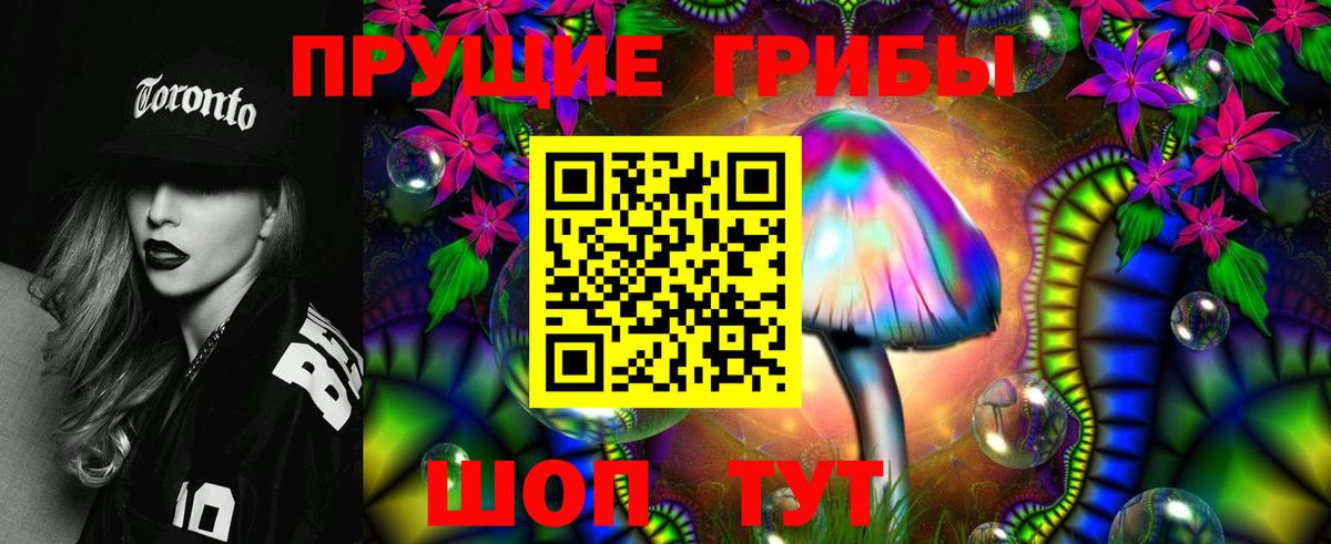 купить закладку  Вход с VPN  Астрахань  Галлюциногенные грибы Cubensis 